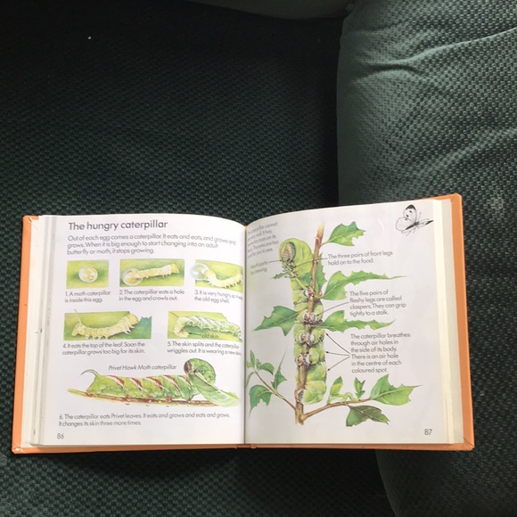 The Usborne Complete Book of Nature - Picture 9 of 15